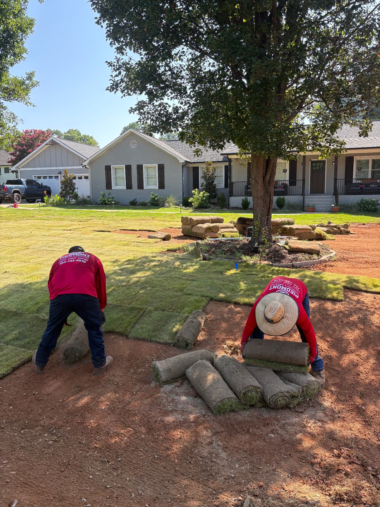 Sod Installation