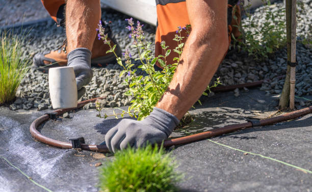 Drip Irrigation