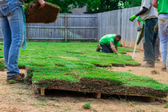 Sod Installation