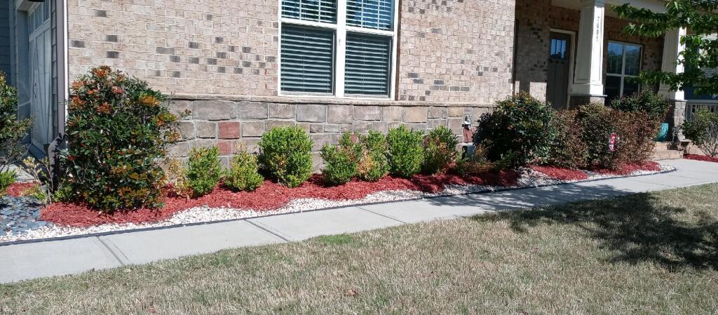 Decorative Edging & Bed Shaping